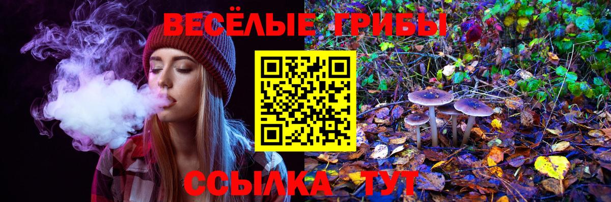 Галлюциногенные грибы прущие грибы Юрга